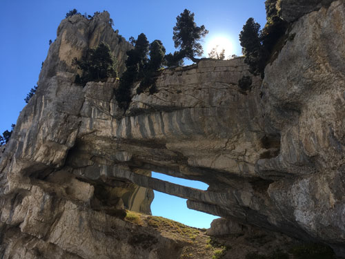 Blog de Bruno Gerelli